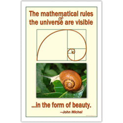 Mathematics and Beauty Quote, Classroom Math Poster