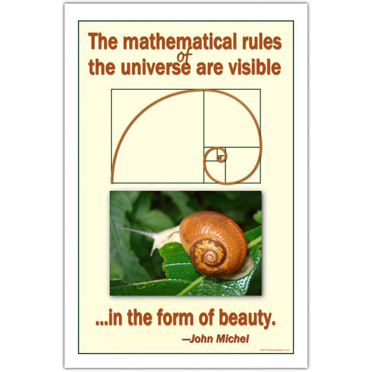 Mathematics and Beauty Quote, Classroom Math Poster