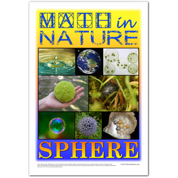 Math in Nature Classroom Poster: Sphere
