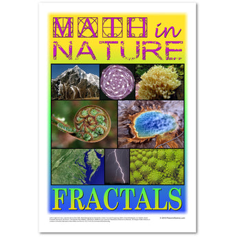 Math in Nature Classroom Poster: Fractals