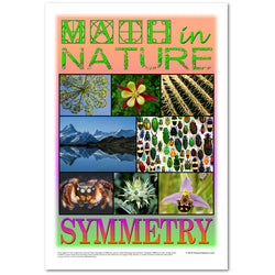 Math in Nature Classroom Poster: Symmetry