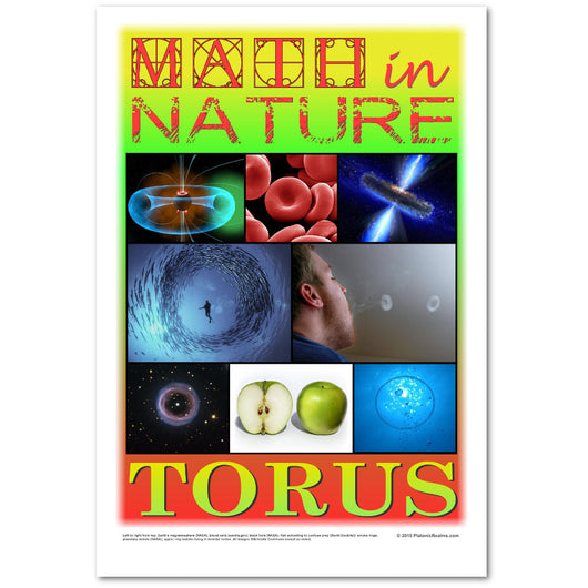 Math in Nature Classroom Poster: Torus